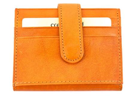 Dámská/pánská kožená dokladovka Arteddy