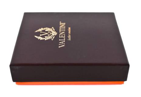 Moderní pánská kožená peněženka Valentini