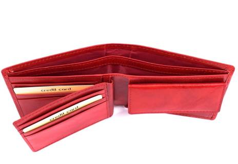 Pánská kožená peněženka Arteddy