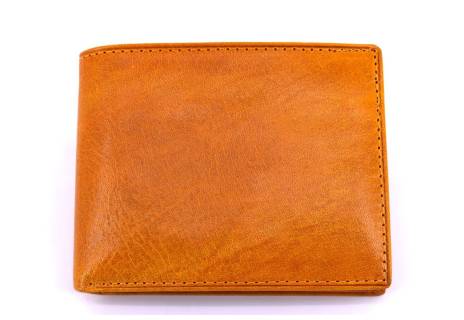 Pánská kožená peněženka Arteddy