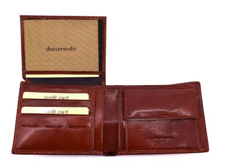 Pánská kožená peněženka Arteddy