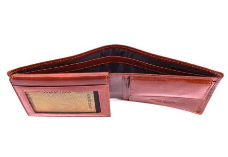 Pánská kožená peněženka Arteddy
