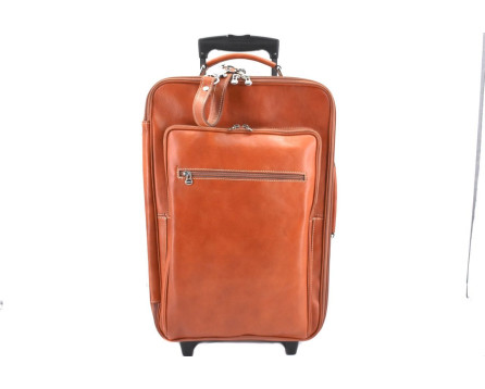 Cestovní palubní kožený kufr Arteddy 40l