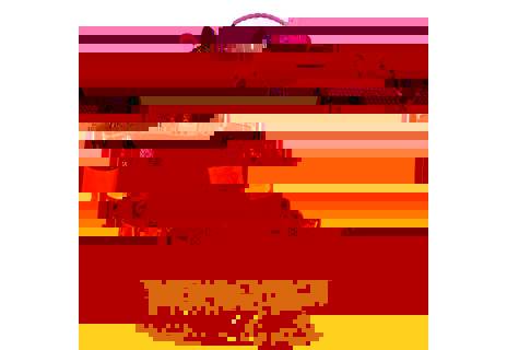 Dívčí MINI SET BAGMASTER GEN 20 A, kůň, nová kolekce, set, penál, batoh, sáček, jednorožec, koník, poník