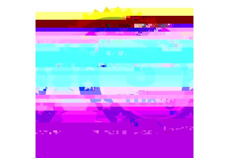 Studentský batoh BAGMASTER DIGITAL 20 A GRAY/BLACK, šedý, originální, pro dívky, jemný s motivem květiny