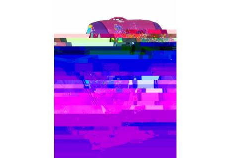 Jednokomorová školní aktovka, batoh Bagmaster MINI SET POLO 7 A s motýlky