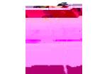 Dívčí školní batohy s motýlky Bagmaster POLO 7 A PINK/VIOLET