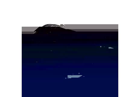 Studentský penál BAGMASTER CASE DIGITAL 20 A GRAY/BLACK, stylový motiv květin, jemné, jednoduché novinka, nová kolekce