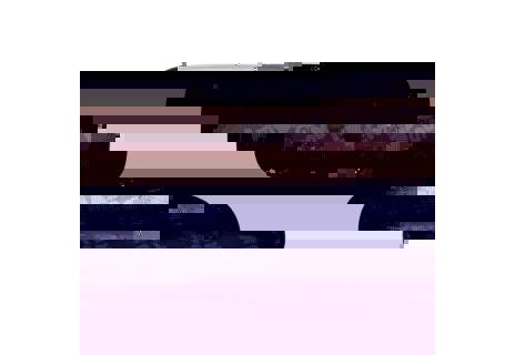 Studentský penál BAGMASTER CASE DIGITAL 20 A GRAY/BLACK, stylový motiv květin, jemné, jednoduché novinka, nová kolekce