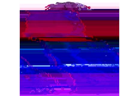 Dívčí vak s jednorožcem Bagmaster SHOES BAG POLO 6 A