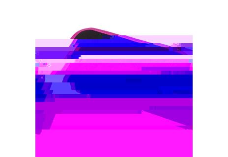 Dívčí školní penál jednochlopňový BAGMASTER CASE GEN 20 A PINK/BLACK/VIOLET/BLUE, motiv koně, koník, pro holky, stylový, nová ko