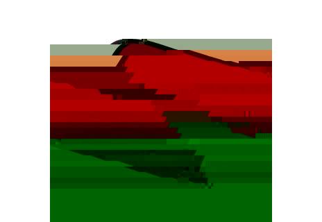 Dívčí školní penál jednochlopňový BAGMASTER CASE MARK 20 A PINK/BLACK/TURQUOISE, motiv květin, stylový pro holky, nová kolekce, 