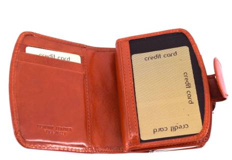 Dámská kožená peněženka Arteddy