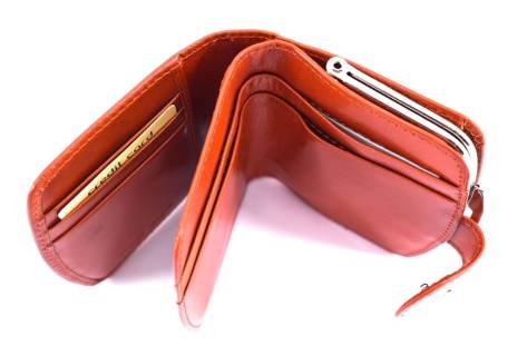 Dámská kožená peněženka Arteddy