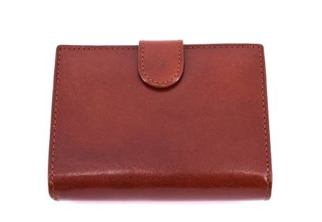 Dámská kožená peněženka Arteddy