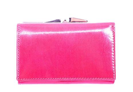 Dámská kožená peněženka Arteddy