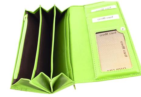 Dámská kožená peněženka Arteddy