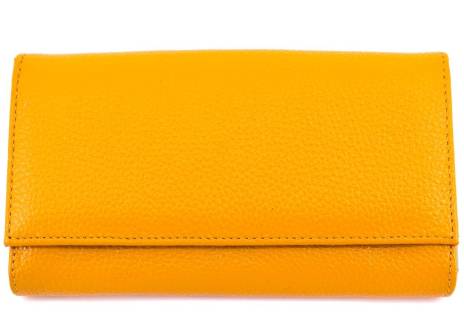 Dámská kožená peněženka Arteddy