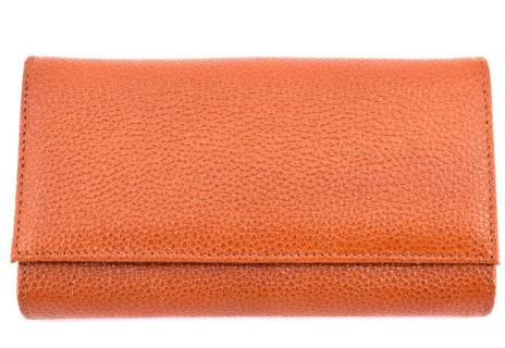 Dámská kožená peněženka Arteddy