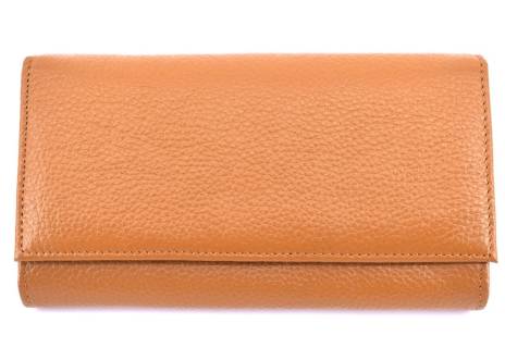 Dámská kožená peněženka Arteddy