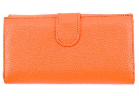 Dámská kožená peněženka Arteddy
