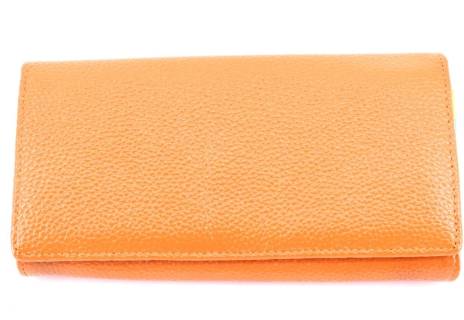Dámská kožená peněženka Arteddy