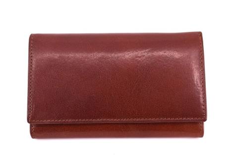 Dámská kožená peněženka Arteddy