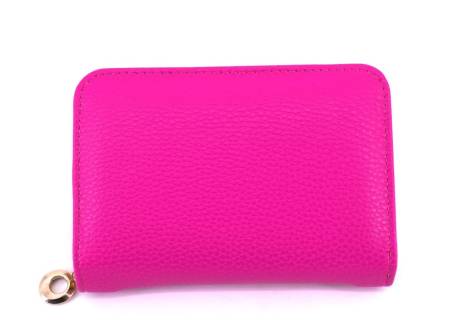 Dámská / dívčí peněženka  pouzdrového typu
