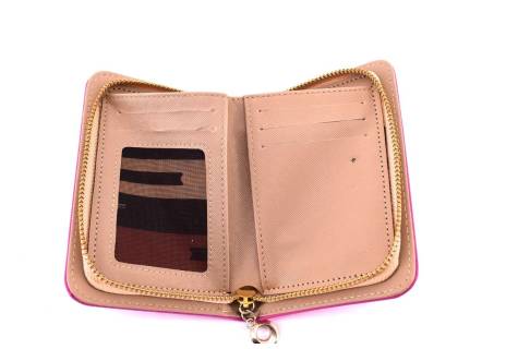 Dámská / dívčí peněženka  pouzdrového typu