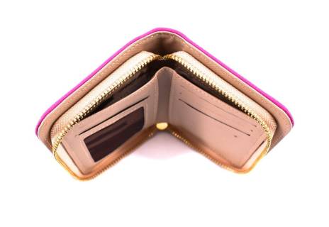 Dámská / dívčí peněženka  pouzdrového typu