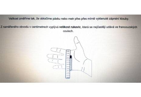 Pánské kožené zateplené rukavice  Coveri - tmavě hnědá