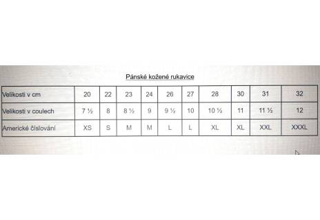 Pánské kožené zateplené rukavice  Coveri - tmavě hnědá
