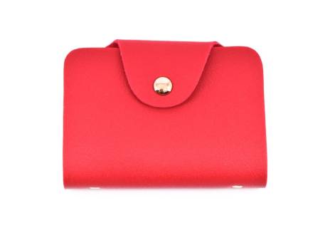 Dámská/dívčí dokladovka Arteddy