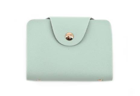 Dámská/dívčí dokladovka Arteddy