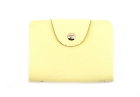 Dámská/dívčí dokladovka Arteddy