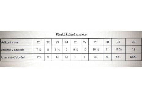 Pánské zateplené kožené rukavice - černá