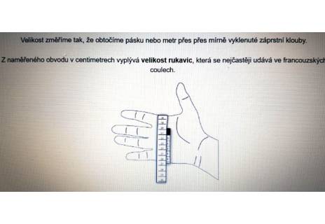 Pánské zateplené kožené rukavice - černá