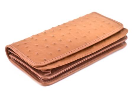 Dámská kožená peněženka Arteddy