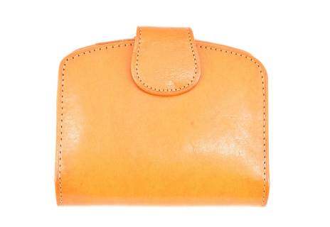 Dámská kožená peněženka Arteddy