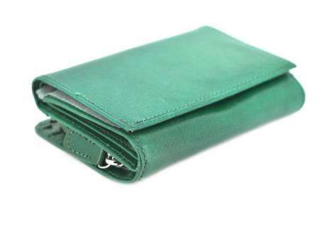 Dámská kožená peněženka Arteddy