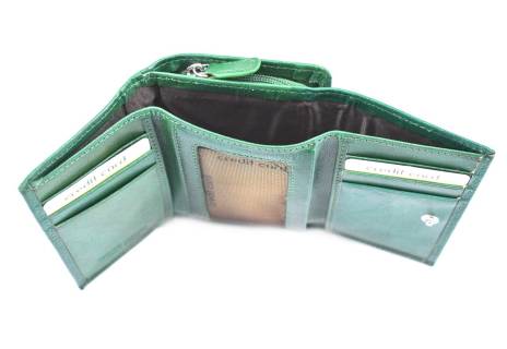 Dámská kožená peněženka Arteddy