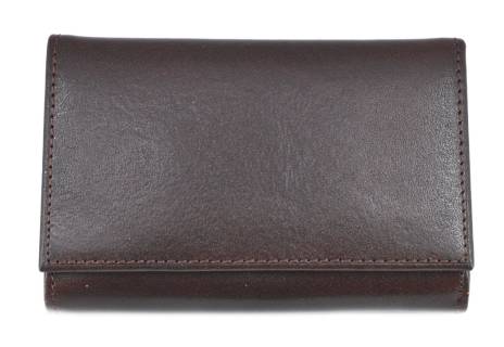 Dámská kožená peněženka Arteddy