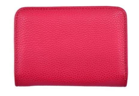 Dámská / dívčí peněženka  pouzdrového typu