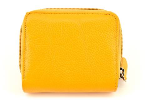 Dámská kožená peněženka Arteddy