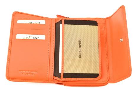 Dámská kožená peněženka Arteddy