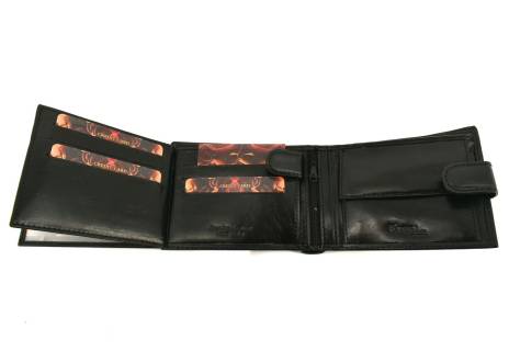 Pánská kožená peněženka Every