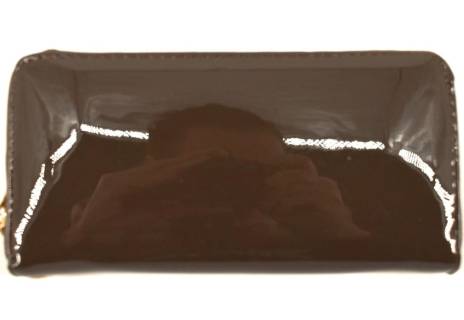 Dámská / dívčí lakovaná peněženka  pouzdrového typu