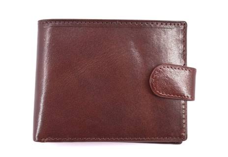 Pánská kožená peněženka Arteddy