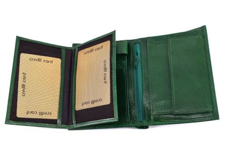 Pánská kožená peněženka Arteddy