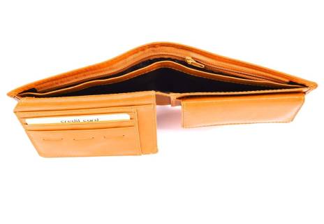 Pánská kožená peněženka Arteddy